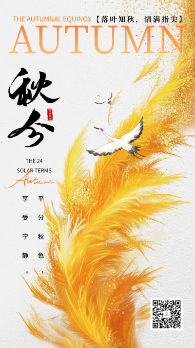 秋分节气创意宣传海报 模板ID:70469