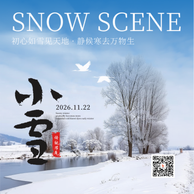 冬天风景小雪节气实景方形海报 模板ID：71869