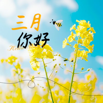 3月你好日签问候语励志文案实景封面次图 模板ID：759104