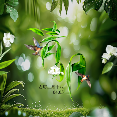 清明节树叶节气实景封面次图 模板ID：760797