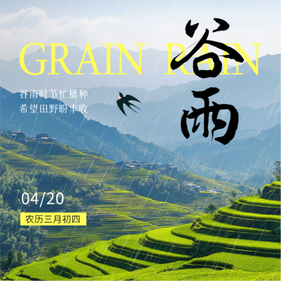 谷雨节气实景祝福方形海报 模板ID：761100