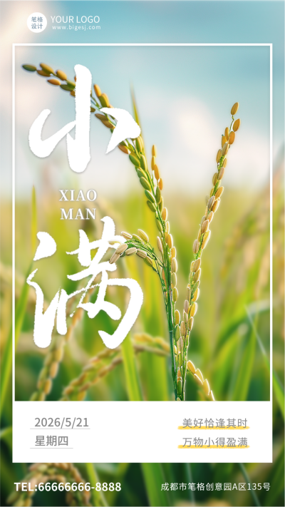 小满节气简约手机宣传海报 模板ID：762722