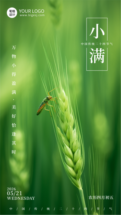 小满节气简约手机宣传海报 模板ID：762723