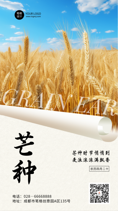 芒种节气简约手机宣传海报 模板ID：763002