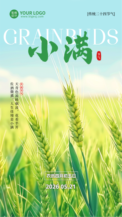 小满节气手机宣传海报 模板ID：763734