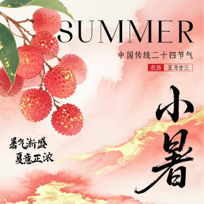 小暑节气手绘荔枝祝福方形海报 模板ID：765644