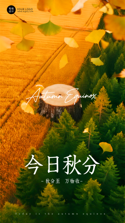 实景风秋分节气海报 模板ID：768468