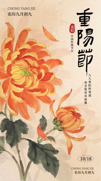 九九重阳节菊花宣传海报 模板ID:769534