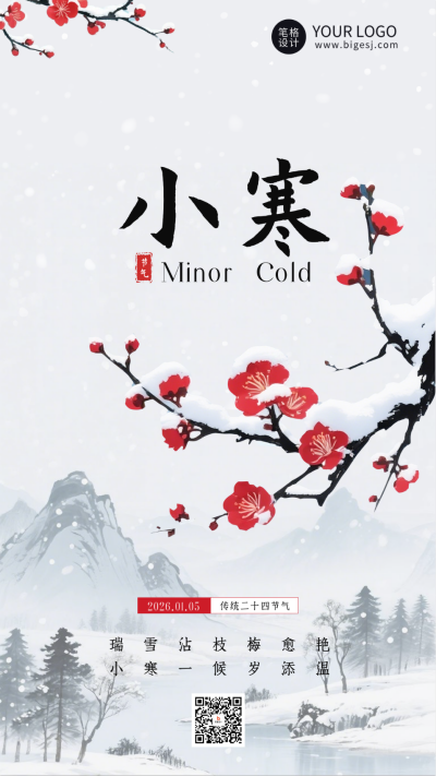 白色水墨风小寒节气宣传海报 模板ID:775090