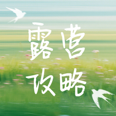 春季露营踏青指南简约公众号次图 模板ID：779016