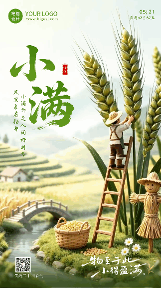3D小满节气祝福海报 模板ID:987415