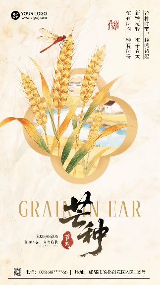 芒种节气麦穗手绘宣传动态海报 模板ID：988088