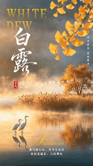 白露节气祝福风景宣传动态海报 模板ID:991632