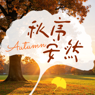 秋日文案实景宣传公众号次图 模板ID：9917758