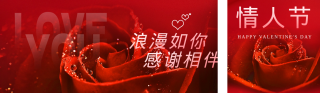 情人节玫瑰实景 模板ID:s1247