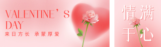 情人节玫瑰花弥散风双封面套图 模板ID：s2703