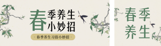 春季养生公众号双封面 模板ID：s2753