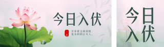 三伏天荷花实景公众号双封面 模板ID：s2875