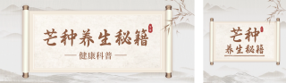 芒种养生知识科普公众号双封面 模板ID:s2904