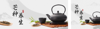 芒种养生指南公众号双封面 模板ID:s2905