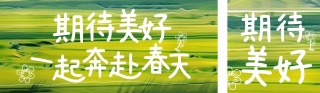 春天清新草地日签 模板ID：s2922