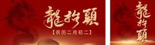 龙抬头节日祝福双封面 模板ID:s2948