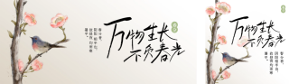 春分节气祝福日签公众号双封面 模板ID：s3067
