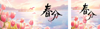 春分郁金香插画公众号双封面 模板ID：s3104
