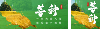 芒种节气祝福宣传公众号双封面 模板ID：s3487