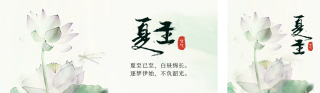 夏至节气实景公众号双封面 模板ID：s3537