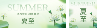 夏至实景荷花公众号双封面 模板ID：s3552