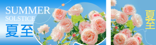 夏至实景祝福公众号双封面 模板ID:s3553