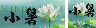 夏季实景小暑节气荷花公众号封面图 模板ID:s3600