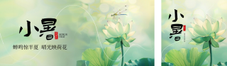 小暑节气公众号双封面 模板ID:s3613