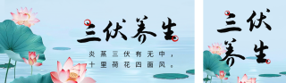 三伏天养生宣传公众号双封面 模板ID:s3631