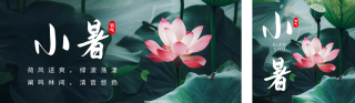 小暑节气荷花实景祝福公众号双封面 模板ID：s3635