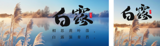 白露节气祝福实景公众号双封面 模板ID:s3885