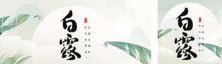 手绘绿色白露节气祝福公众号双封面 模板ID:s3916