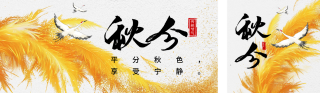 秋分节气创意宣传公众号双封面 模板ID:s4046