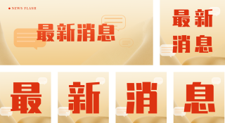 简约政务新闻发布对话框公众号套图 模板ID:s415