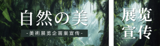 摄影展览企画案宣传公众号双封面 模板ID：s4334
