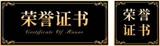 业绩表彰荣誉证书公众号双封面 模板ID:s4336