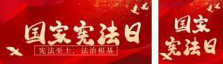 党政宪法日宣传推广公众号双封面 模板ID：s4456