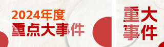 党政工作年终总结公众号双封面 模板ID:s4562