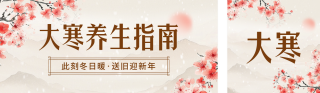 大寒节气养生指南宣传公众号双封面 模板ID:s4789