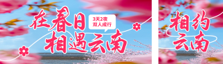 云南春天旅游宣传公众号双封面 模板ID：s4942