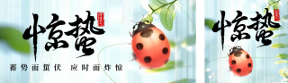 惊蛰节气祝福日签宣传公众号双封面 模板ID：s5013