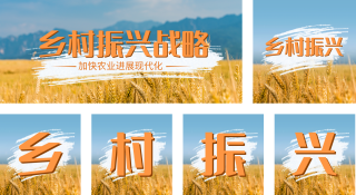 乡村振兴公众号套图 模板ID:s502
