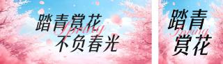 春日赏花手绘公众号双封面 模板ID：s5042