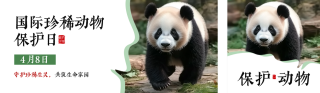 国际珍稀动物保护日公众号双封面 模板ID：s5219